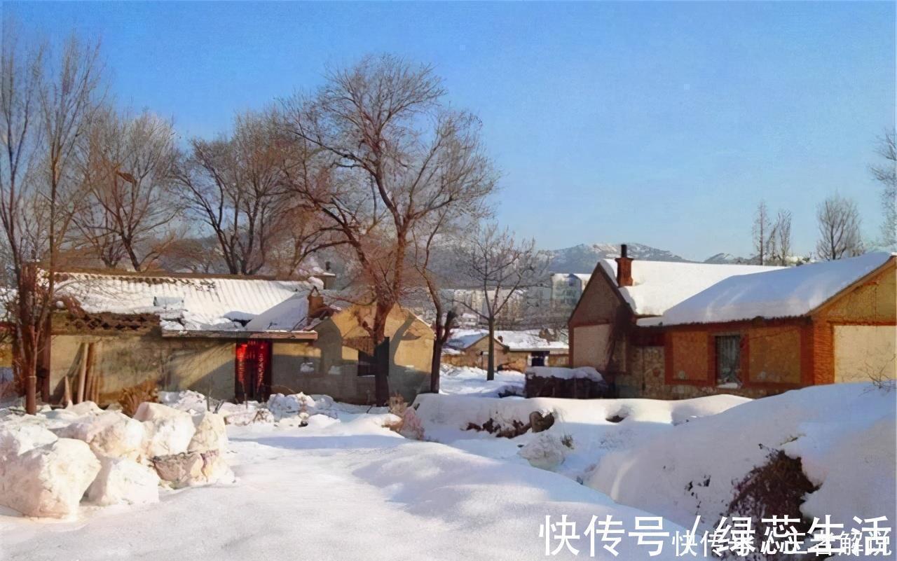 生育期|孩子若出生在这3个“时间点”,说明母子俩都有福气,你家是吗?