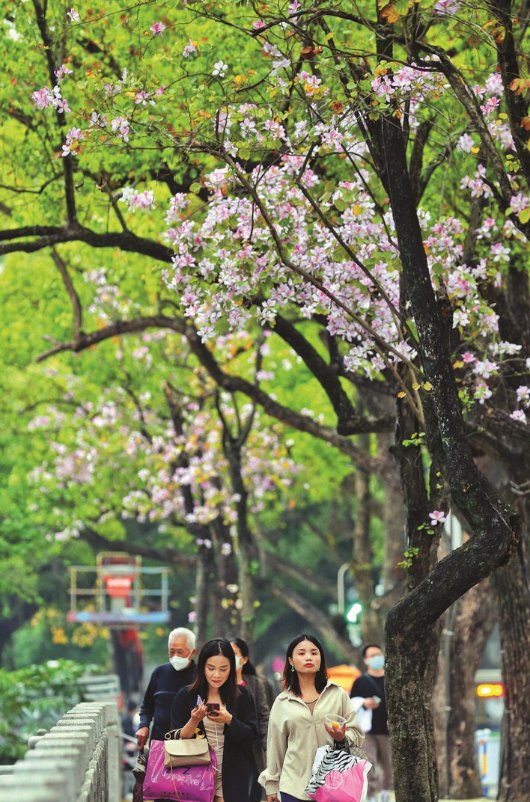 花重惠州城