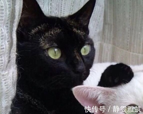 行为|女孩刚睡醒时,只要经常坚持这3行为,瘦身效果看得见,轻松逆袭女神