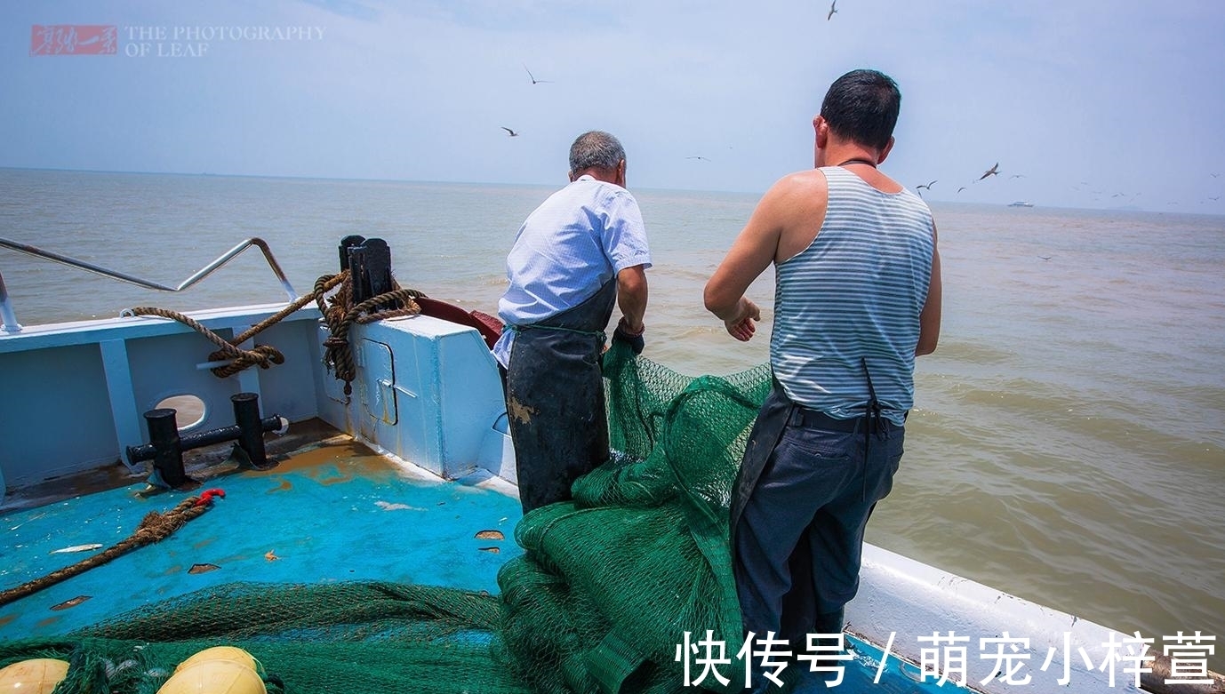 游船|4500元包船出海捕鱼，捞上来的海鲜烧了满满两大桌，你看看值吗？