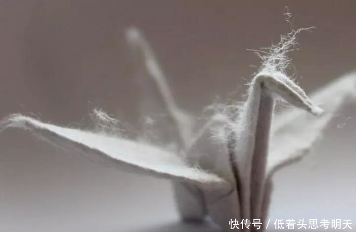 重样|每天折一只千纸鹤,他坚持了1000天不重样,女友被感动到梨花带雨