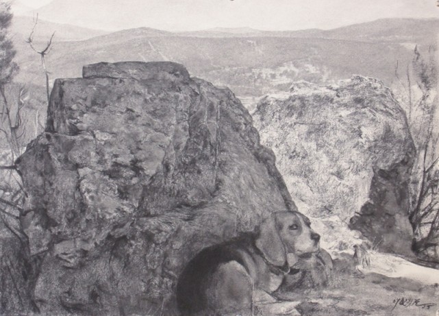 素描&唯美写实的素描,西班牙艺术家Miguel Angel Oyarbid笔下的树