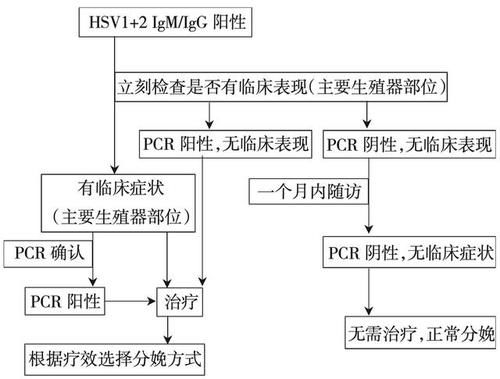 常见|患有嘴唇水泡会影响生育健康宝宝？