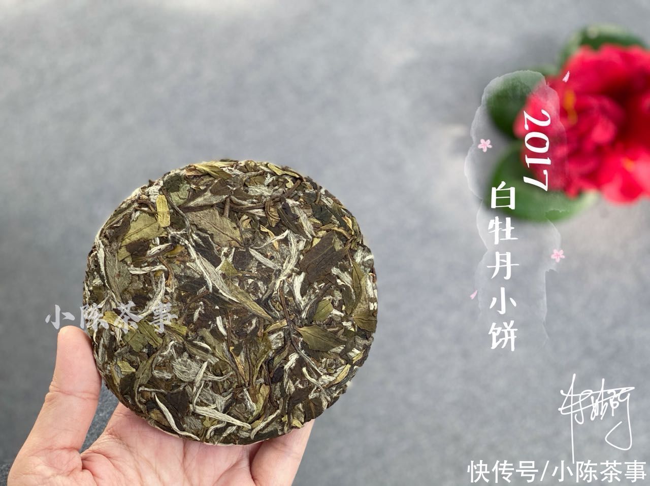 林徽因|家庭存白茶饼，每一饼分开密封好，还是放在一个箱子里好？