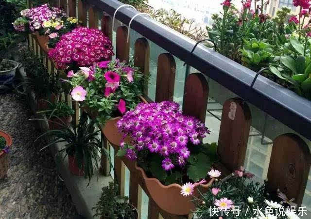 农村老人常说“房前不栽树,屋后不种花”,什么原因有何讲究