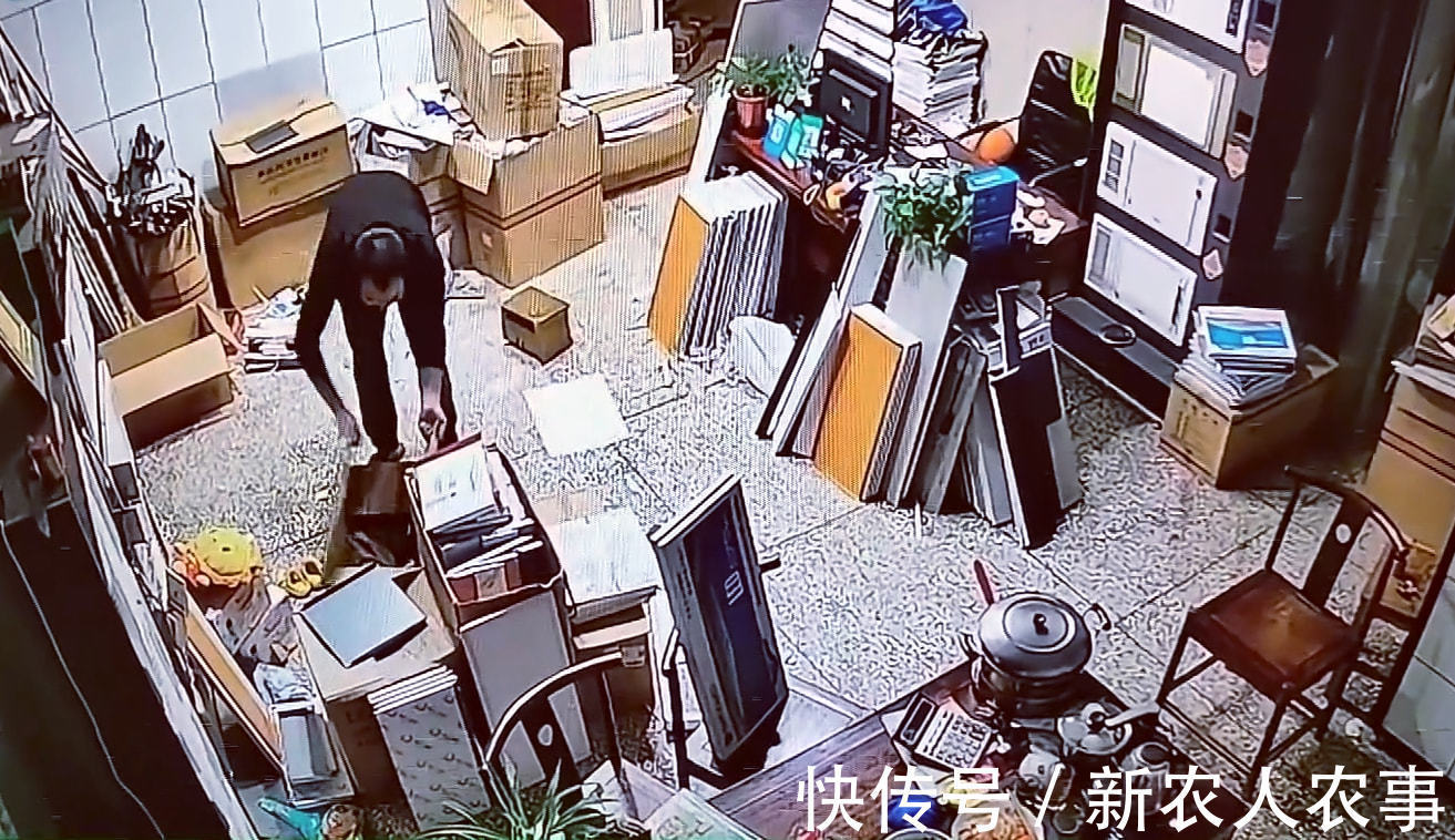 捉迷藏|河南一小女孩藏到纸箱捉迷藏,意外睡着了急坏妈妈,网友:熊孩子