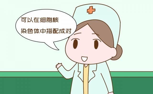 0型血爸妈却生出了A型血的女儿,两人当场闹离婚,真相很无语