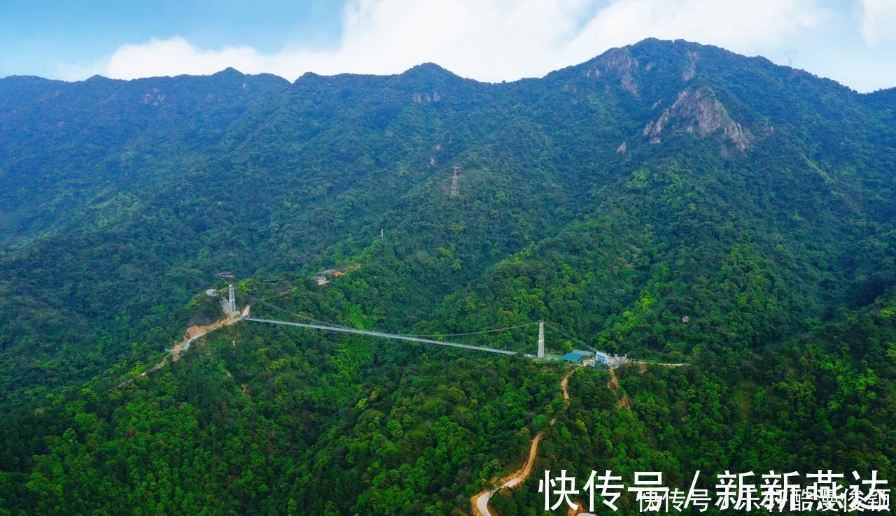 天空之镜|你想去原始森林探险吗这里有最大的树冠长廊、玻璃桥和天空之镜