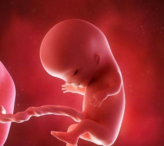 胎心|怀孕后，孕妈若有这5种“表现”，恭喜，可能是个贴心“小棉袄”