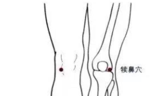 祛寒止痛|膝盖，人体中转站只需2招，祛寒止痛、引血下行，激活全身气血