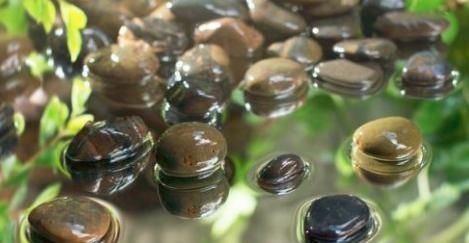 胖子|痰湿、寒痰、痰热有什么区别？又该怎么调理？胖子必须清楚