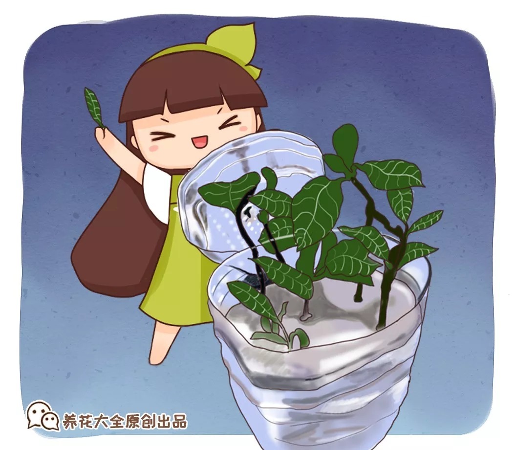 油桶|废弃的油桶别再扔了，简单处理一下，简直就是养花“神器”！