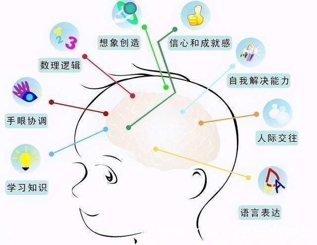 大脑|麻省理工研究发现:多和宝宝说话,有助于大脑发育,易养出聪明娃