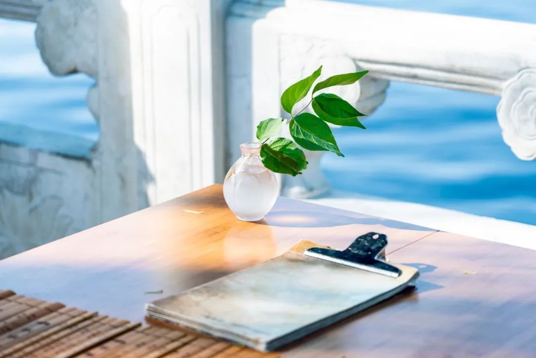 醉酒词&李清照11首醉酒词,饮尽一生喜乐悲欢