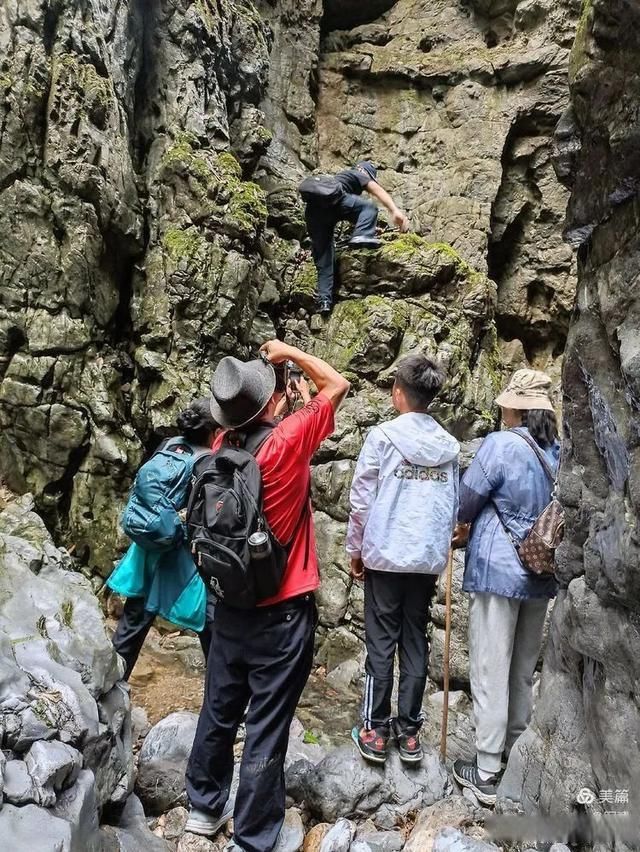 岩壁|探秘鬼斧神工的汉中“大屋基”地缝峡谷，秦巴深处的地质奇观