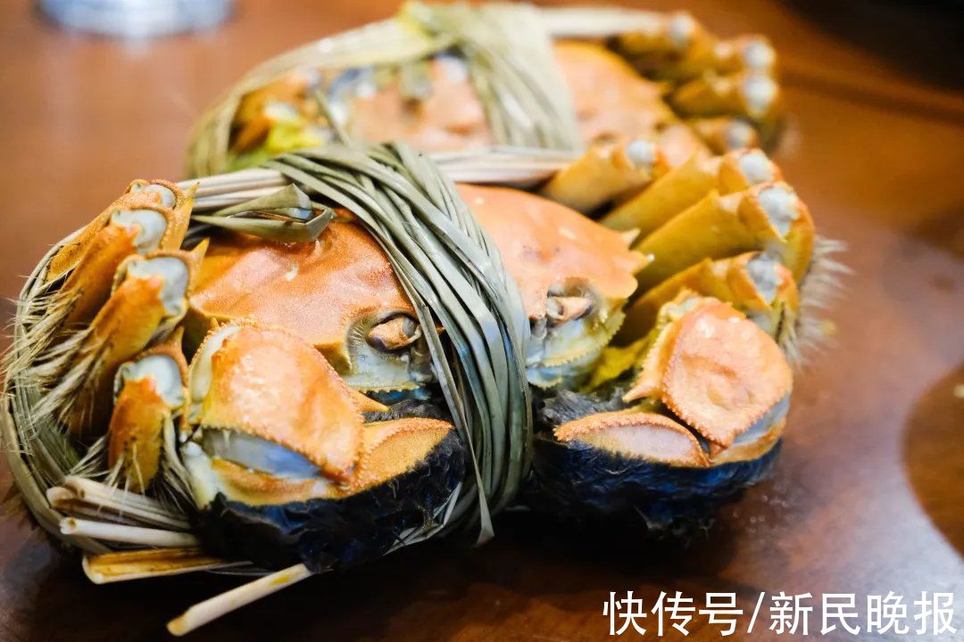 食客|再访阳澄湖