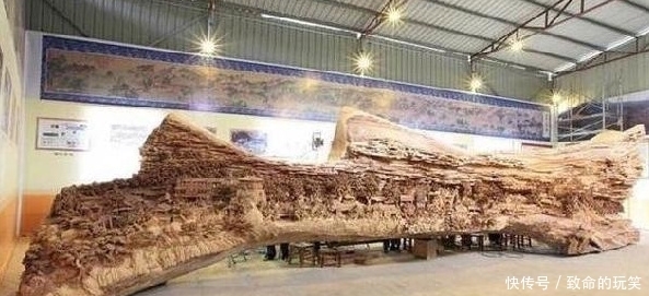 崖柏|带你走进深山的采崖柏人,有人靠它赚上亿,有人因此丧命,太珍贵