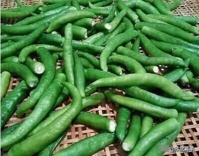 辣椒|简单易学的腌辣椒方法,清香鲜辣吃起来特过瘾,放一年也不会坏