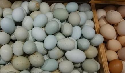 蛋壳|关于鸡蛋的小秘密，“白壳蛋”和“红壳蛋”的差别，营养白丢了