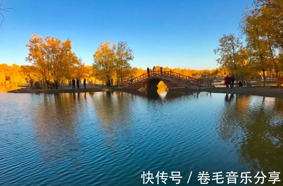 沙漠|金塔胡杨已成景，你确定不来看看吗？