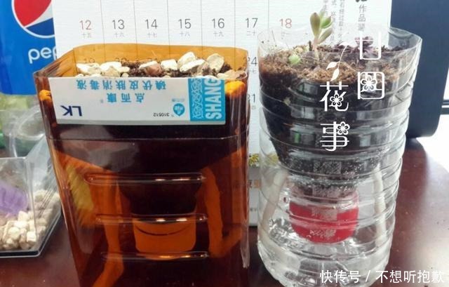 7种“废料”做花盆，一分钱不花，花盆用不完，比买的还精致！