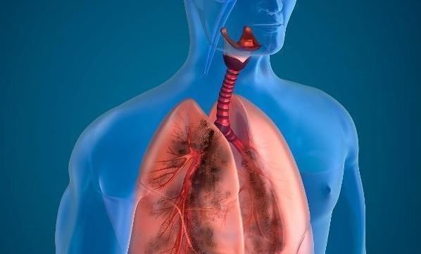 一天内吸烟,尽量不要超过“此数”,你的肺也会好受一些!