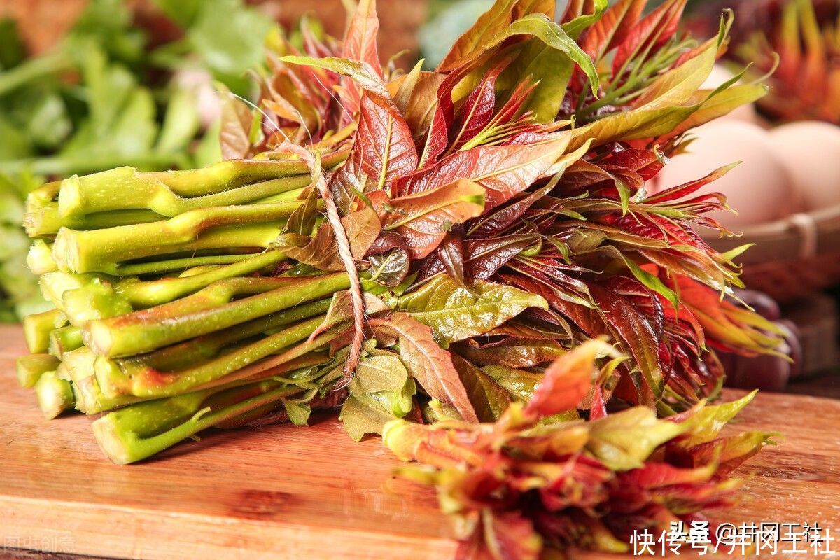 春天必吃的美食，三种香椿家常菜做法，鲜嫩可口，清爽又刮油