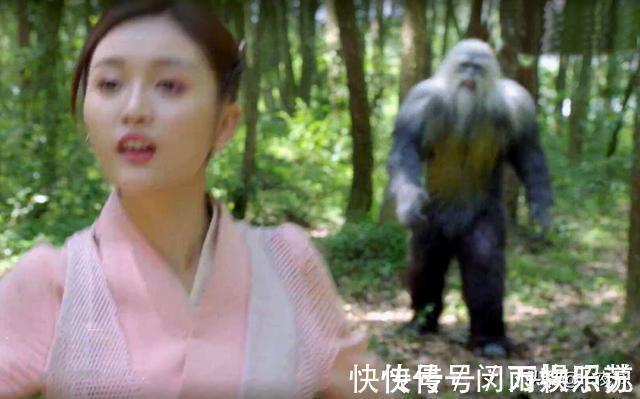 星斗大森林|斗罗大陆电视剧泰坦巨猿不足三米,像只狒狒?天青牛蟒却令人满意