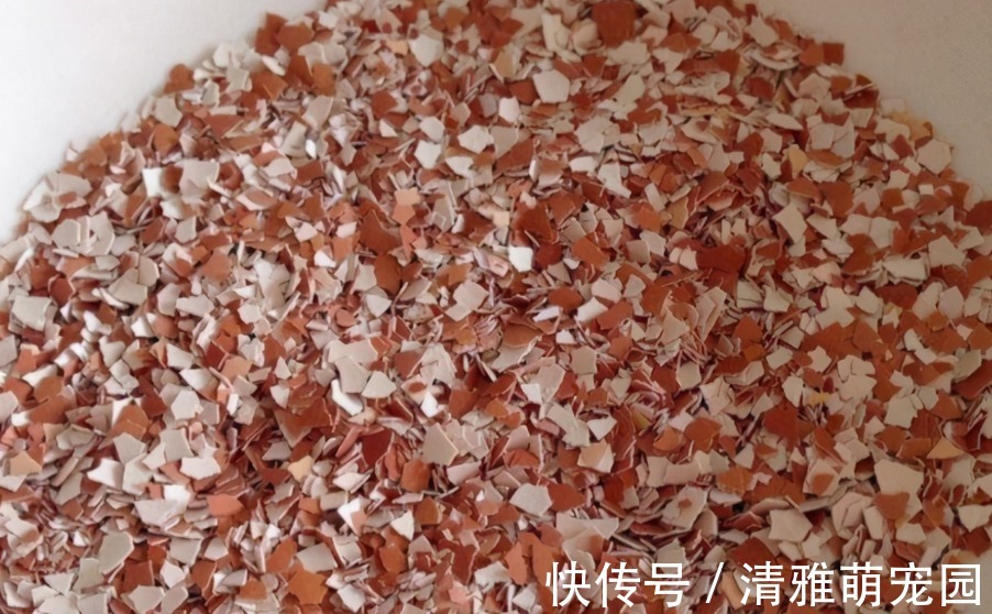用鸡蛋壳养花，方法多种多样，植物盆栽用了越长越起劲