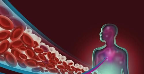 高血脂先别慌，坚持每天吃口“它”，清血管垃圾，血脂悄悄降