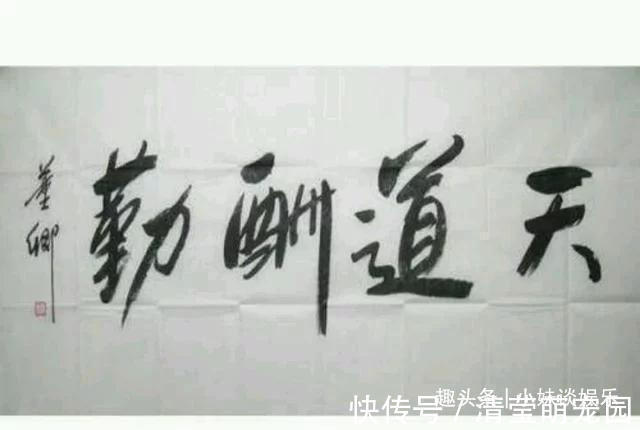 书法&看完董卿书法,再看徐静蕾书法,谁更胜一筹