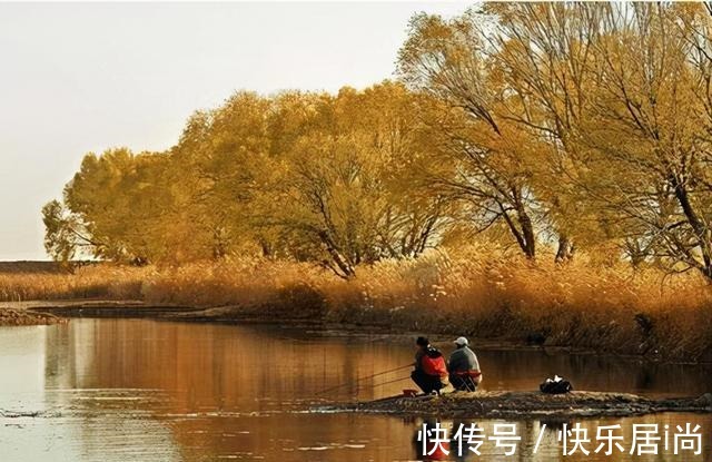 用羊油钓鲫鱼堪称一绝,如果能做到这三点,效果会杠杠的!