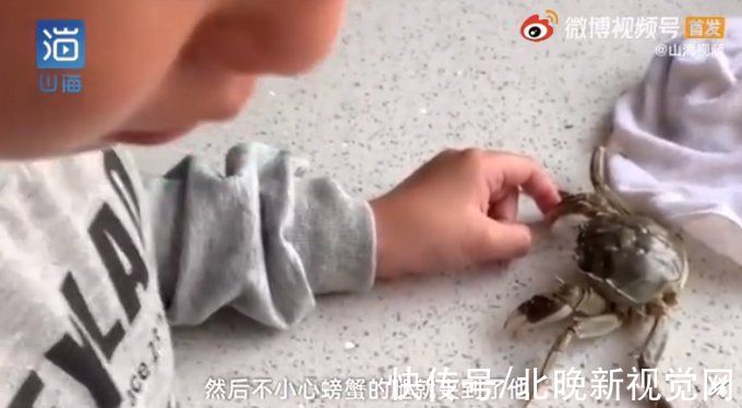 螃蟹|萌化！男童被螃蟹夹手哭着让它冷静