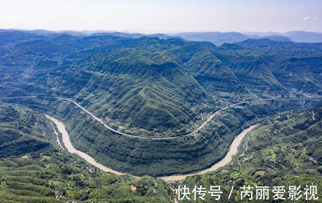 植物|消失20年!贵州再次发现中国特有植物富宁藤,重现意味着什么?