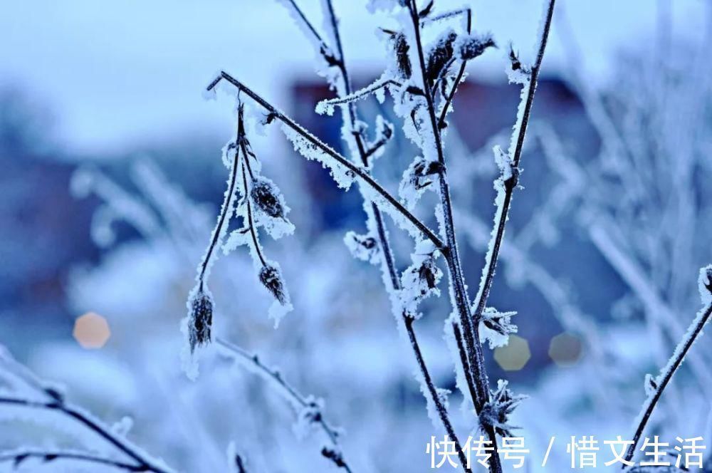 苑中遇雪应制$这10首咏雪诗词，不带一个雪字，却写尽雪之美！