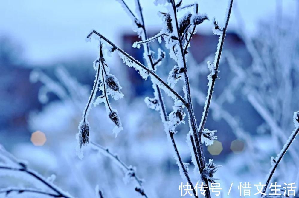 苑中遇雪应制$这10首咏雪诗词,不带一个雪字,却写尽雪之美!