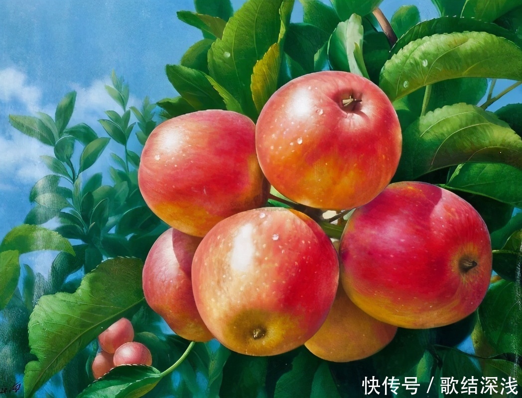 营养|会吃的人最健康,三种食物离不开,补充营养,提高免疫力