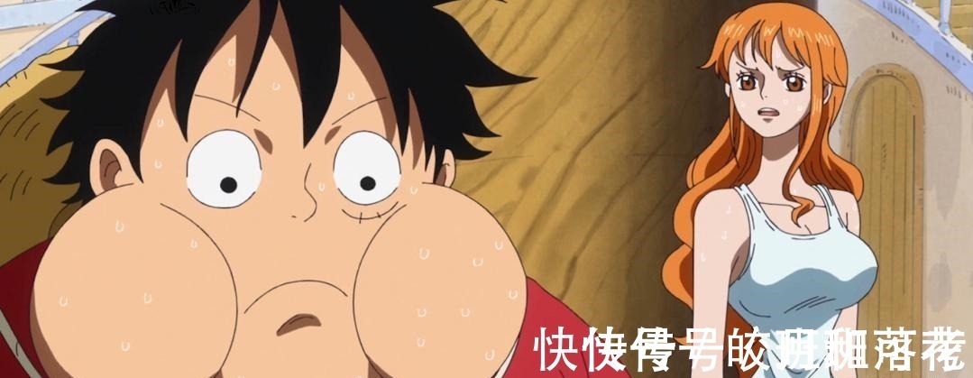 贝利|海贼王草帽团人人都有三个宝贝,娜美最心动,乔巴你绝对想不到