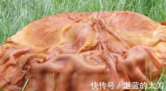 长生不老$全国接连发现的“太岁”,到底是啥?专家:它违背了自然规律