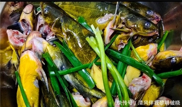 做黄辣丁时不要直接下锅,多加这一步,鱼肉又鲜又嫩,无腥味!