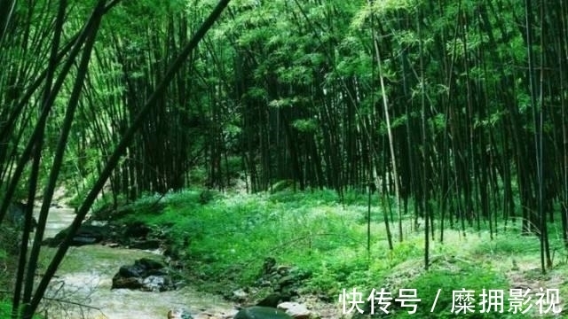 风景|这座夏天19℃的“蜜雪冰城”有多好吃？美食比成都更上头，风景比川西更惊艳！