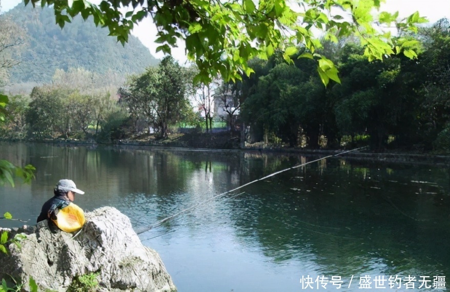 夏季|夏季野钓鲫鲤鱼有技巧，想要爆护必须掌握好才行！——盛世三渔