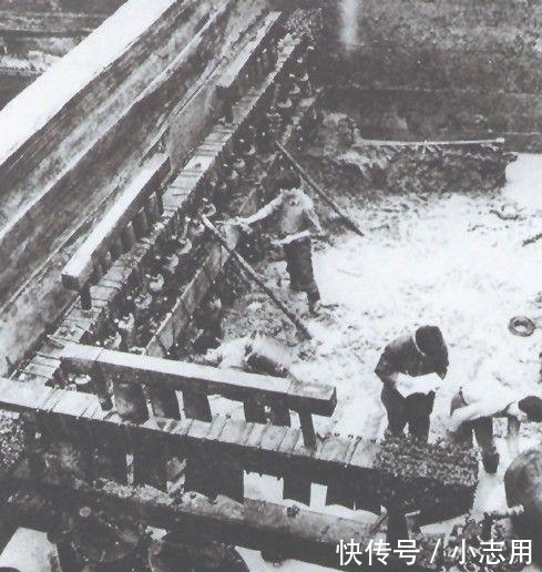 母猴|"1个杯子卖了2亿,2只猴子卖了3亿,这个瓶子卖了5亿,网友:值了"