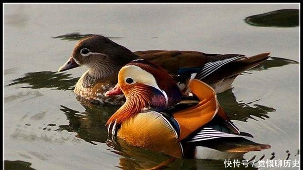 命运多舛|初唐四杰:为什么这些有才华的人如此命运多舛?