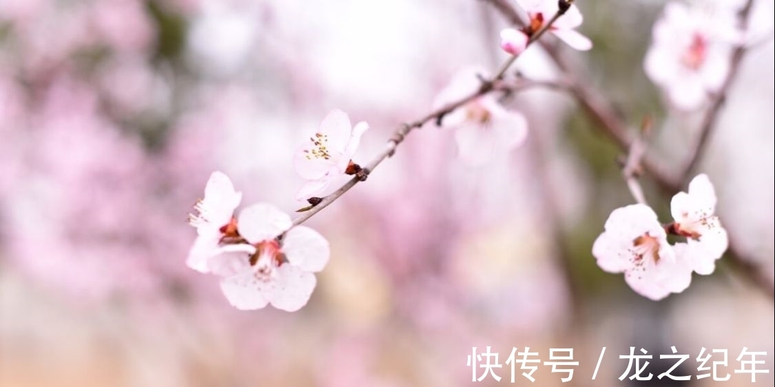 苕溪!杏花消息雨声中。陈与义备受宋高宗激赏的一首诗,读来心生安暖