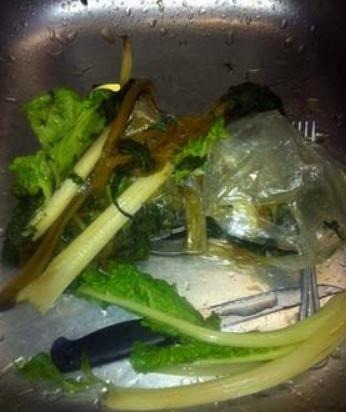 养吊兰、君子兰,盆里倒一点“汤”,比肥料都管用,养1盆爆1盆!