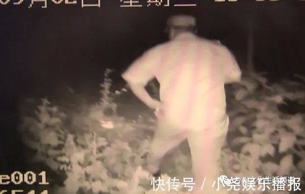 做作业|孩子不做作业,爸爸让他晚上一人坟前罚站,结果太吓人…