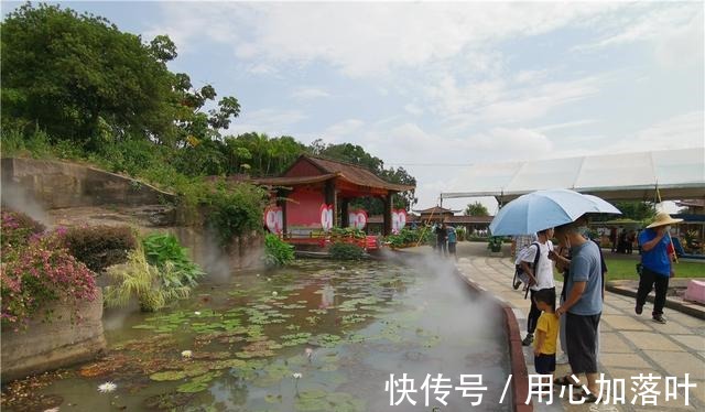 旅游区|祖国颂｜登山、赏花、品美食！国庆假期一起来莲花山逛第六届金秋睡莲展！