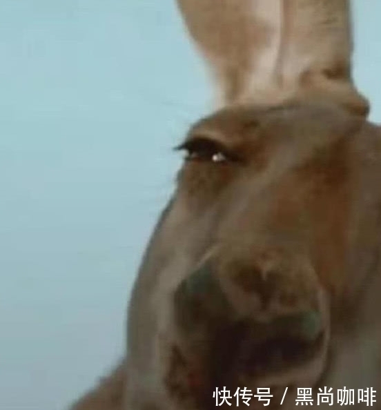 圆圈!美术生在纸上乱画圆圈,本以为是青铜,看到成品之后:这是高手!