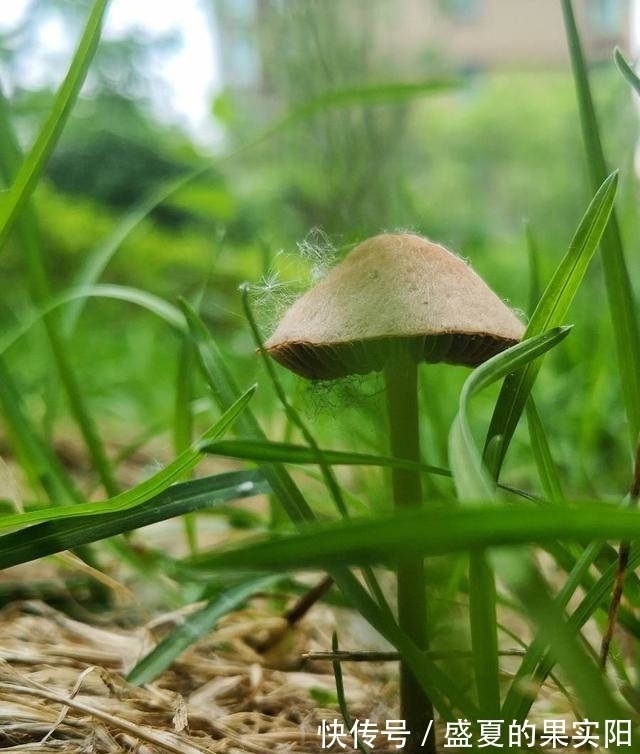 终老|15天后，千载难逢，久久难忘，旧情回暖，心有悸动，共赴终老